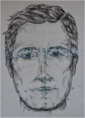 Commentary: Sexual Dimorphism of Facial Width-to-Height Ratio in Human Skulls and Faces: A Meta-Analytical Approach